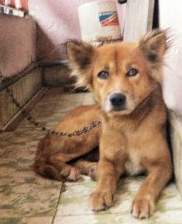 scorpivan's profile picture. 🐕🐶🐃🐂

IG : https://t.co/hMoDT94bBQ