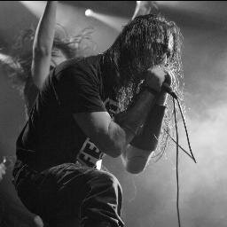 DerZwitter's profile picture. Black, Folk, Viking, All Metal ! Bathory, Burzum, Gorgoroth, Eluveitie, Amon Amarth, Marduk, Soad, And Many more create my world. Ave Satanas.