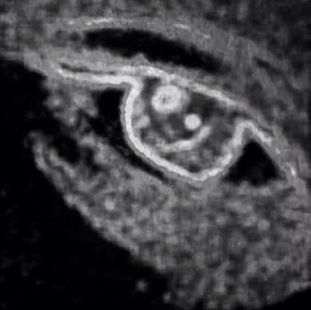 GET HIGH. SEE MUSIC.