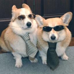I tweet stupid stuff sometimes.
Bluesky: mrfunktastic