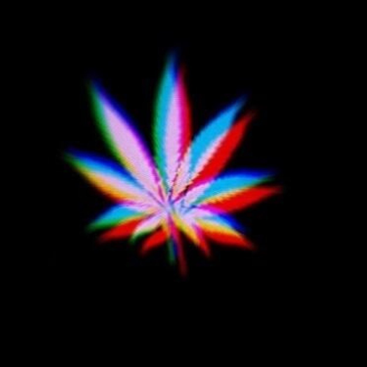 Well, in a stoner chick, if you want to know more, just ask