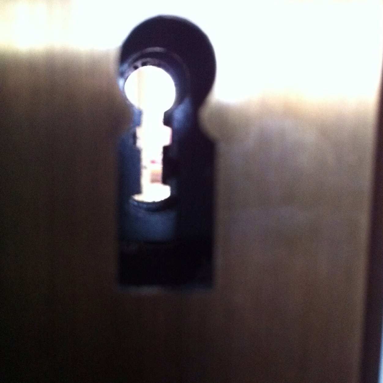 Lynn_NY1's profile picture. Die Zeiten ändern sich und wir mit ihnen.