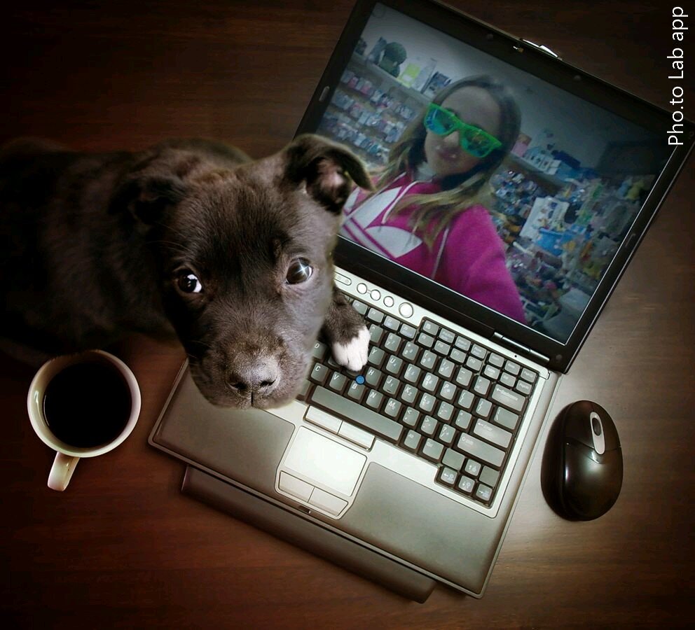 gatito_carmen's profile picture. me encarta ducharmen con musica y tmb me gusta montar en vici . #megustariaserabogada ;)