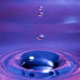 IndigoWorldSoul's profile picture. Indigo World Soul is a grassroots organization created with the intention of feeding the world's mind, body and soul.