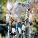 Michelle  Feagin - @40yrhold - Twitter