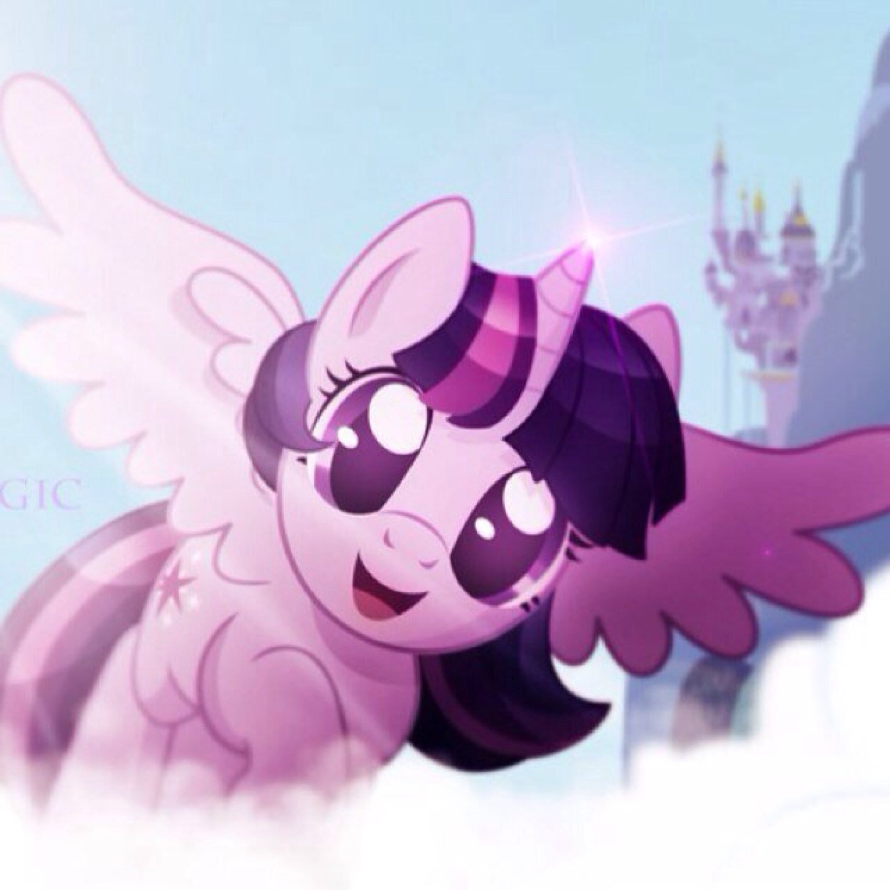 Hi, I'm Twilight Sparkle, i'm the newest Princess but i'm Currently running my own book store and i study the magic of friendship :)