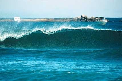 ReefRoadWPB's profile picture. Reef Road Restaurant & Rum Bar's OLD twitter account. Follow us now @reefrdrumbar.