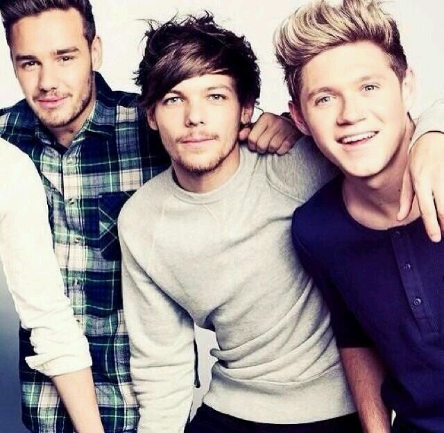 im a directioner