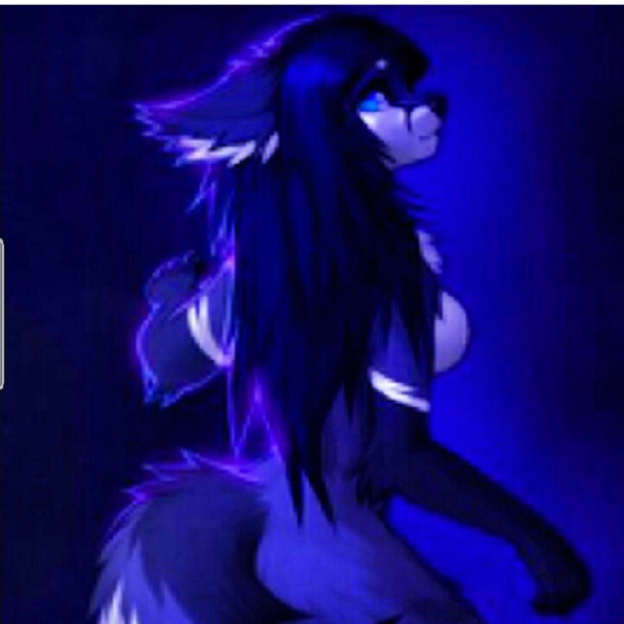 Just a loveable wolfy with a few kinky demons~ 16 and sluty| Single and looking. Female BI