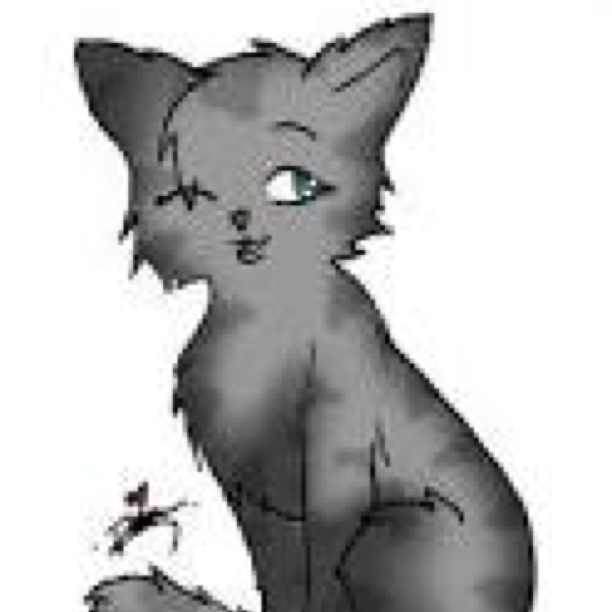Hello! I'm Cinderheart from ThunderClan. Former medicine cat Cinderpelt. ❤️Lionblaze❤️ Also smosher since 2005! (Didn't want to mention it on this acc)