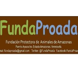 Fundación Protectora de Animales de Amazonas. Fomentamos la educación ambiental y protección animal. Contacto: WhatSaap +5804268462917