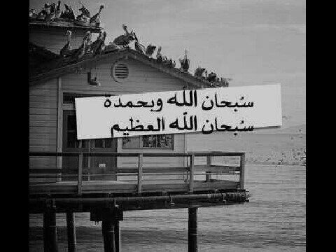 لمن احب