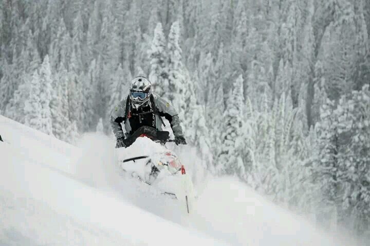 DustinPancheri's profile picture. 