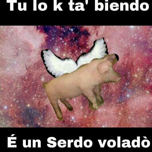 UnSerdoVolado's profile picture. Un pequeño marrano que quiere recorer el mundo.