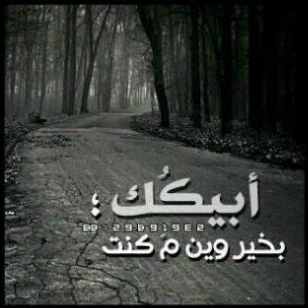 هذا الحساب صدقة جارية لمن رحل وترك له مكانة كبيرة في قلبي .. اللهم ان كان حيا فاحفظه ورده سالما
