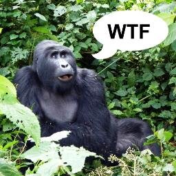 WorldTravlFiend's profile picture. Fuck the 9-5, get out there & see the world