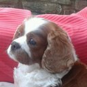 Gemma Hampson - @gemmapoots - Twitter