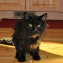 Michelle mcfaul - @mish1802 - Twitter