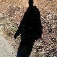 JM (@jmb_1985) 's Twitter Profile