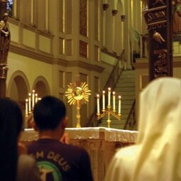 yun_kim's profile picture. "Deposuit potentes de sede, et exaltavit humiles." -Lk 1:52