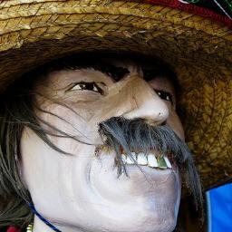 MexicanMad's profile picture. Boxing