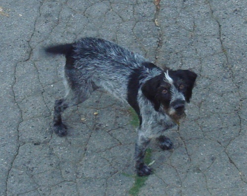 babbb5's profile picture. 