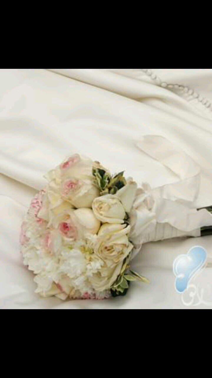 لا تعطينا الحياة جميع مانريد،،، لذا ارضى بالقضاء والقدر🙂🌷