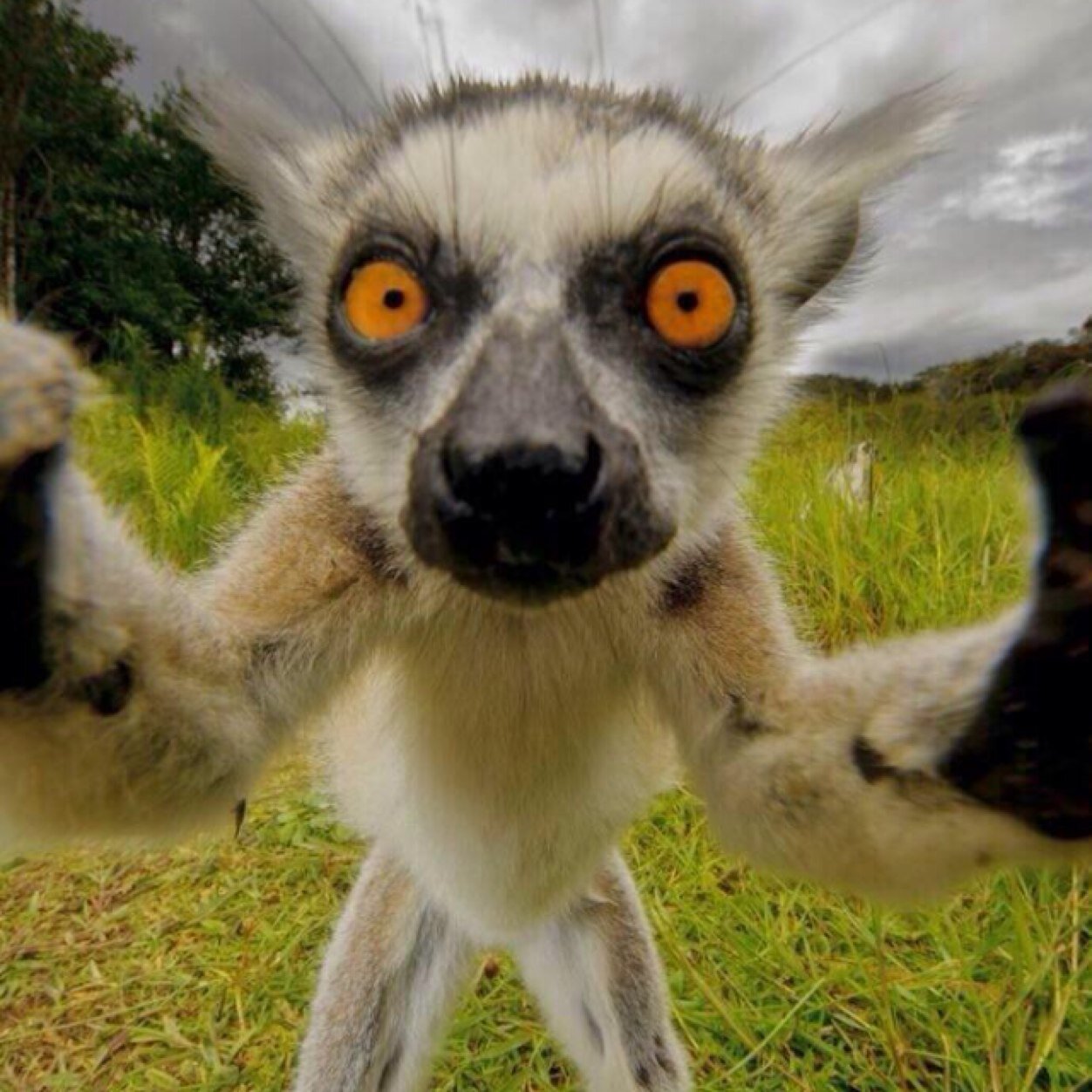 Boule_et_bill's profile picture. métrogne boulogne dodogne #mun92100
#MUN92100 #BoulogneBillancourt