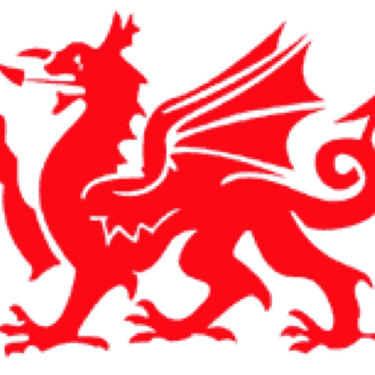 quailrose's profile picture. 