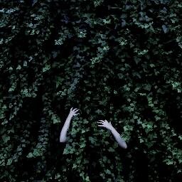 myyths's profile picture. Dark Ambient duo. Album out now!