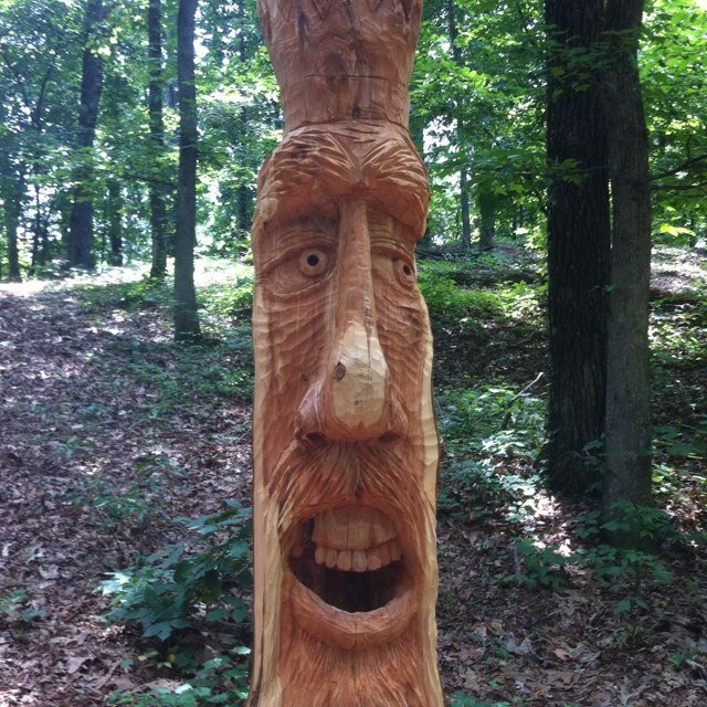 duremabacchus's profile picture. 