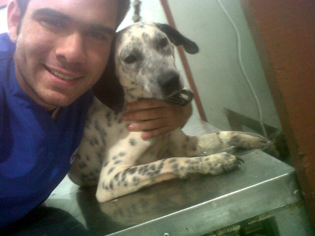 Medicina Vet