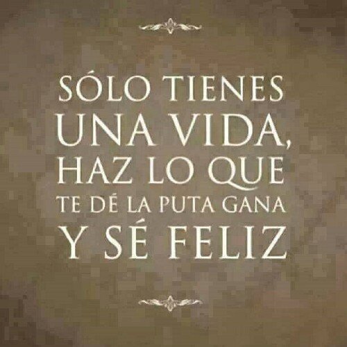 TusPinchesTuits's profile picture. Sigueme y será lo mejor que hayas hecho vida