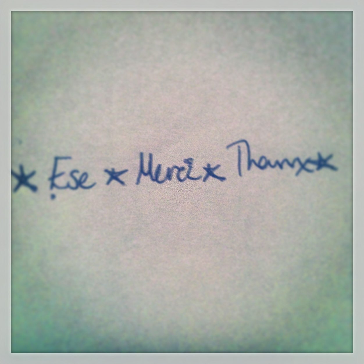 EseMerciThanx's profile picture. A gratitude adventure