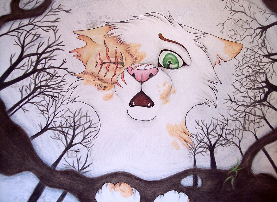 I am LostFace, A She cat who lost half her face in Dog Attack, Meadowclan, mate: none, Theme: Stand In The Rain