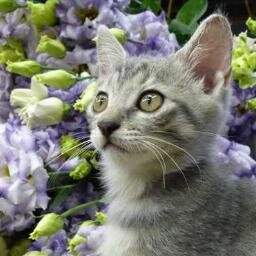 2011年脱サラ就農🌸

切花専門の農業法人所属🌷

農業を楽しみ尽くします！
基本、引きこもりです！
アペトペかだります！

突然のフォロー失礼しますm(_ _)m