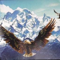 frontload402's profile picture. blue