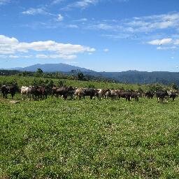 BiodynamicDairy's profile picture. Bio-Dynamic Dairy Farm