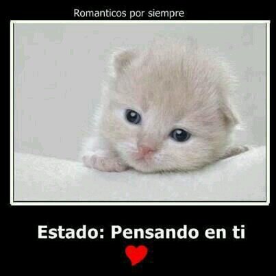 AntraxLuis's profile picture. soy un chavo muy alegre dsmadroso amistoso sociable me encanta bailar hechar el coto el deporte cuidarme en fin ay tantas cosas de mi q pueden saber