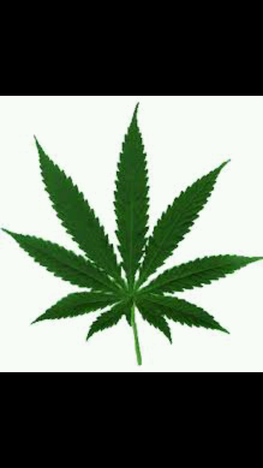 pot heads only