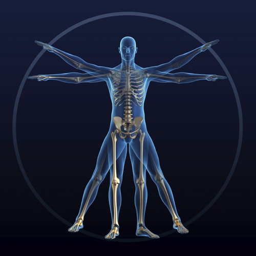 SOARMethod's profile picture. Holistic Chiropractors in Stamford