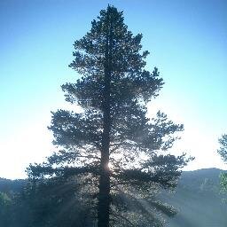 1NCCAC's profile picture. Northern California Council of Activity Coordinators. Providing educational classes, support and unity to all activity professionals.