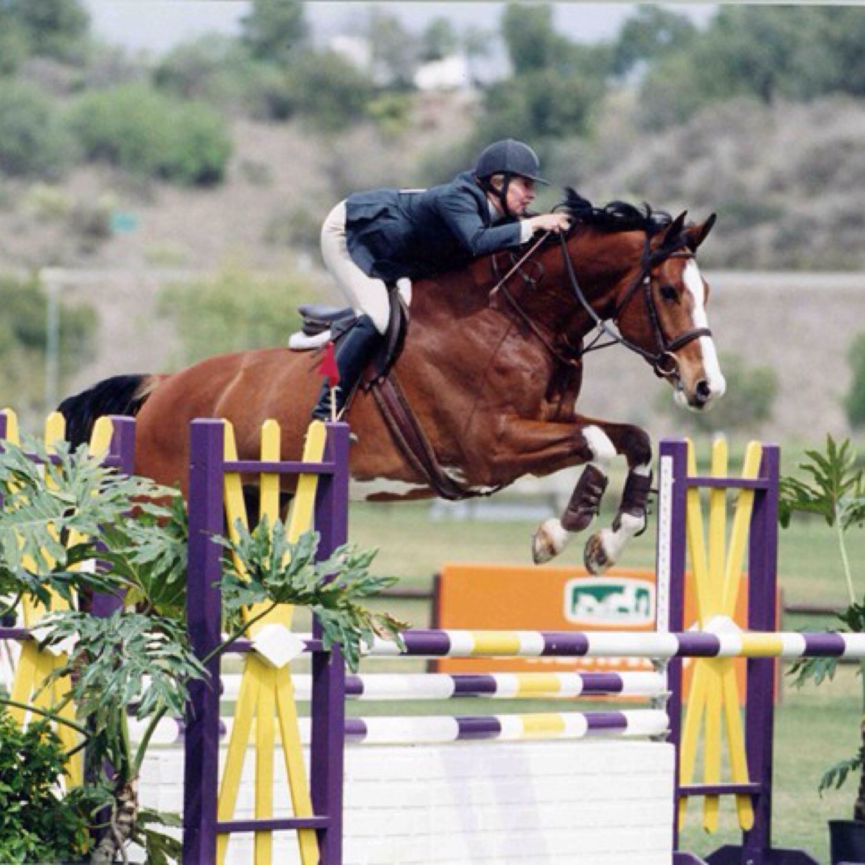 Im just an equestrian that happens to be high ॐ