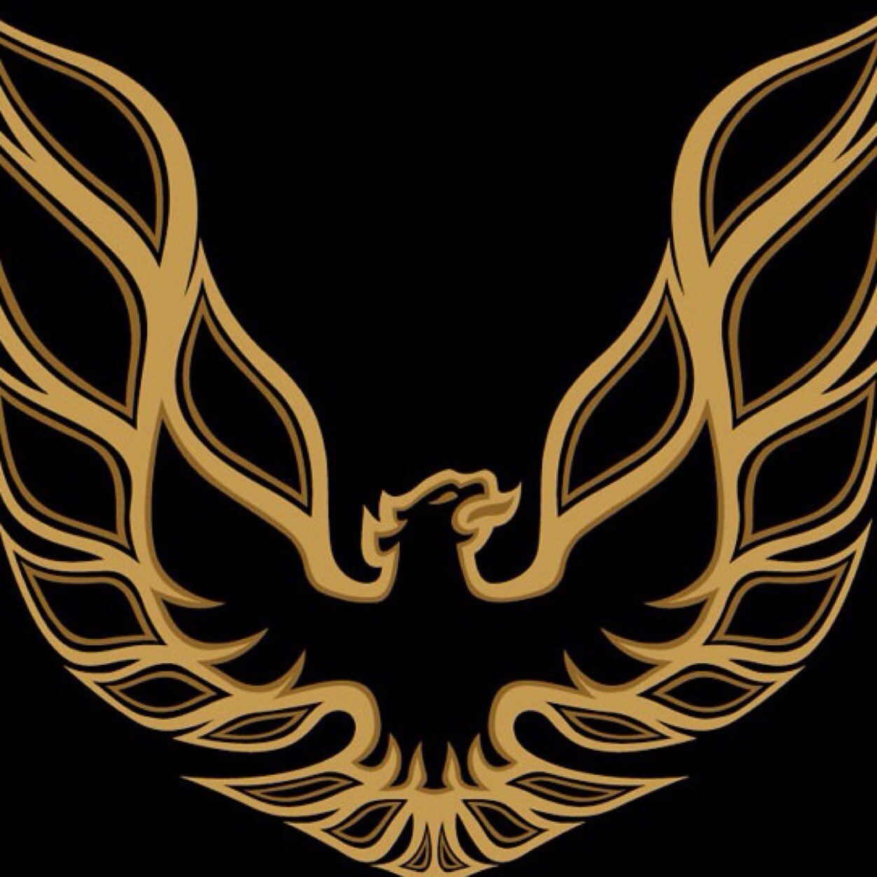 kirkus_jackson's profile picture. 