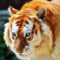 mmz (@_6433699247723) 's Twitter Profile