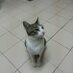 hairul azman (@hairulazman7) Twitter profile photo
