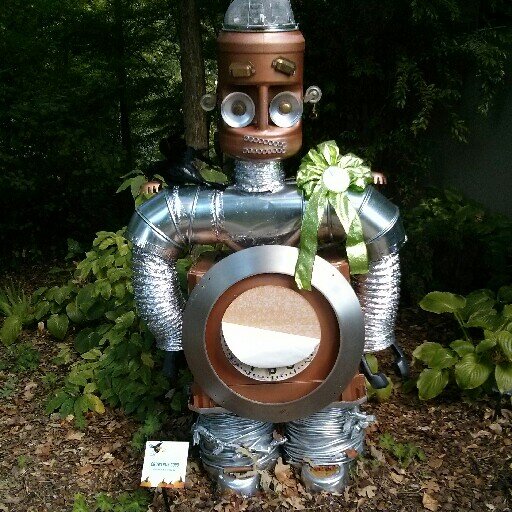 RoboticsGirl