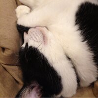 Fuccy _BMX (@dig_and_dig) 's Twitter Profile