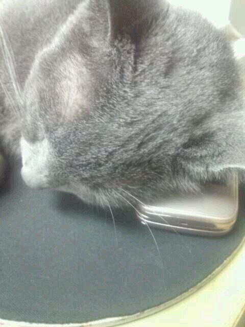 r_quest0818's profile picture. TVドラマ、競馬[中央競馬場巡り制覇]、BOXING、懸賞、水族館、読書、パズドラ、御朱印集め、城[ゆっくり日本100名城スタンプ集め参加中]好きです。