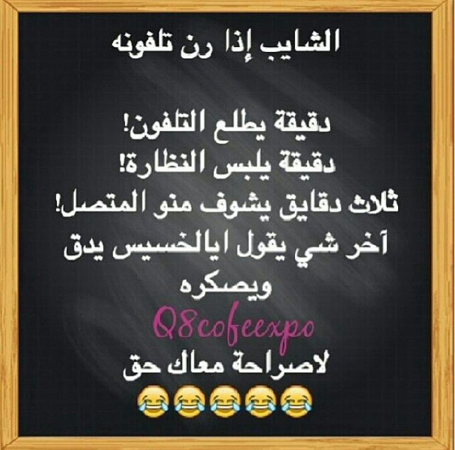 الحساب هذه ل الضحك فقط (فولو + رتويت)
